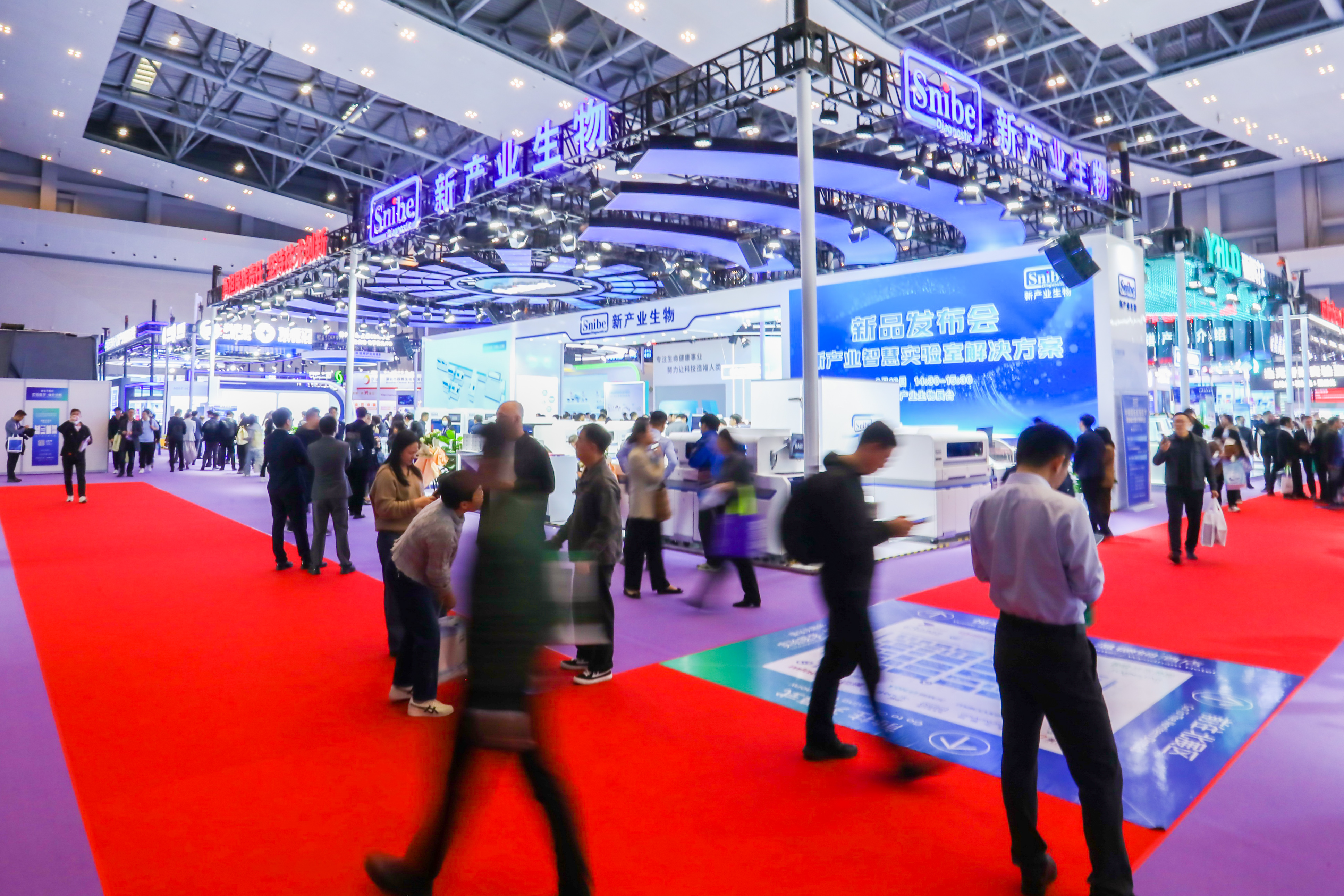 46510799_20240316131821_279804_737094257_020A1618