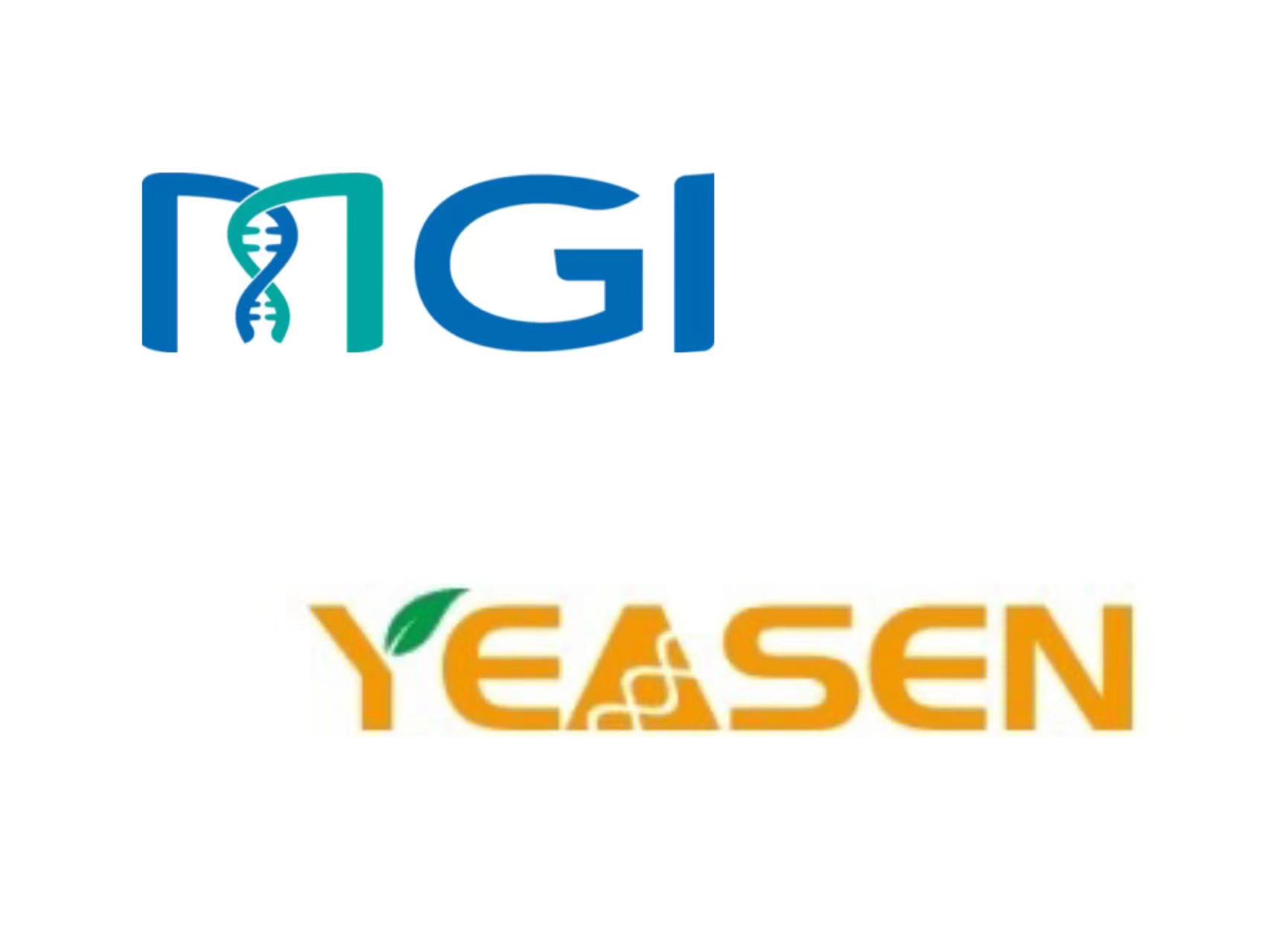 MGI Tech and Yeasen reached a strategic cooperation