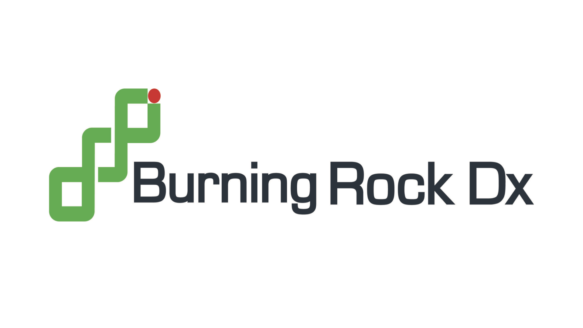 Burning Rock Q2 Revenues up 19 Percent