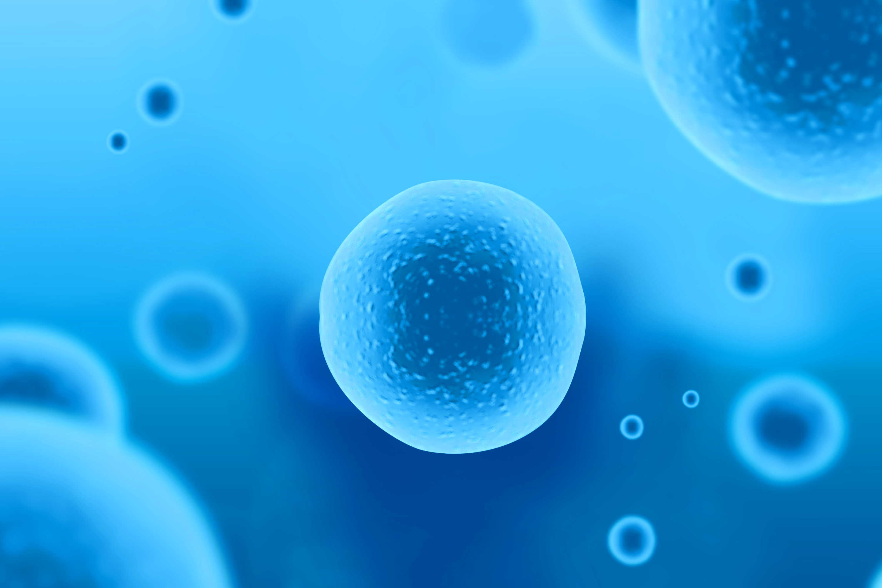 The Secret to the Condensation of Chromosomes