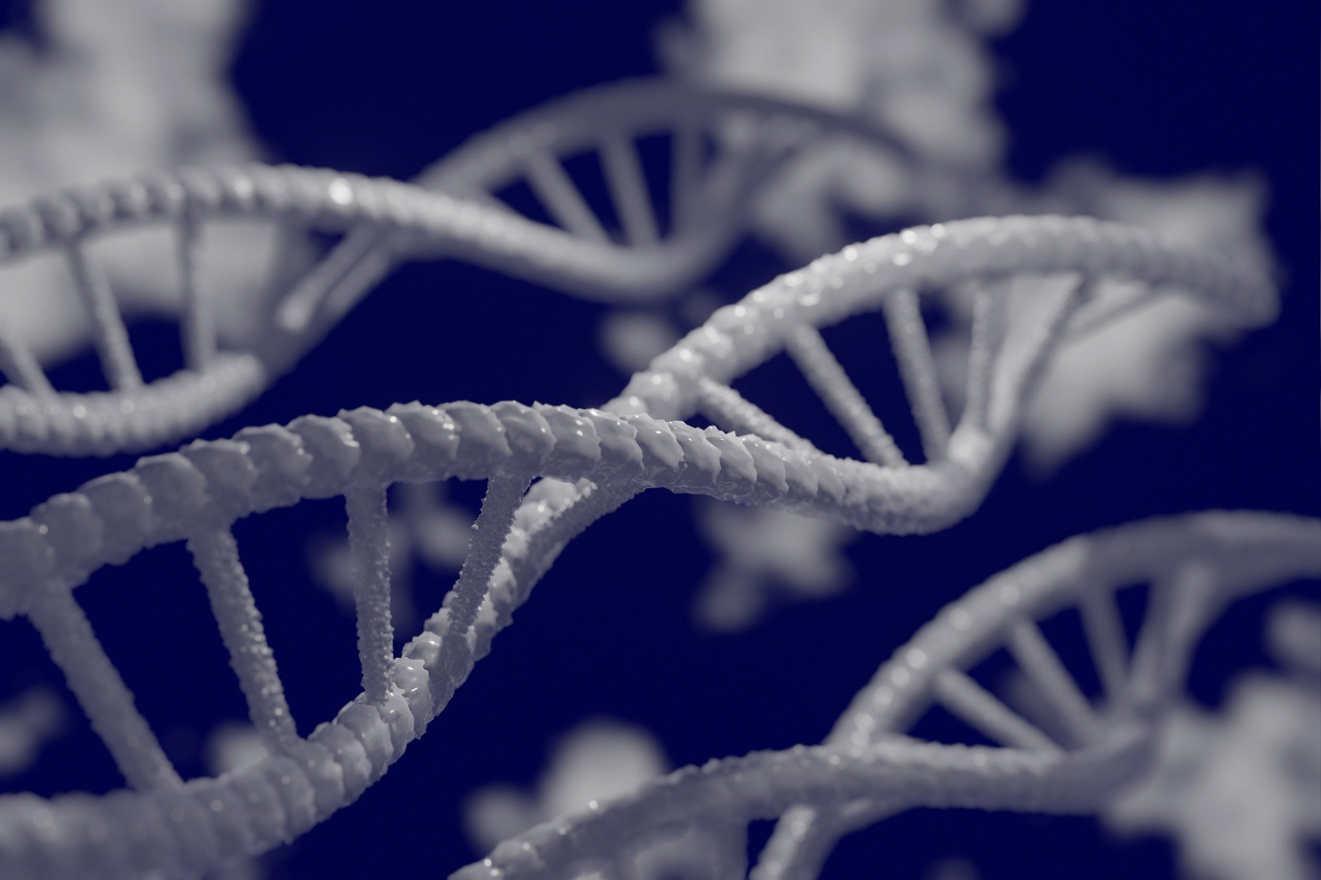 NIMA Partners, EmpowerDx Collaborate on Celiac Gene Test